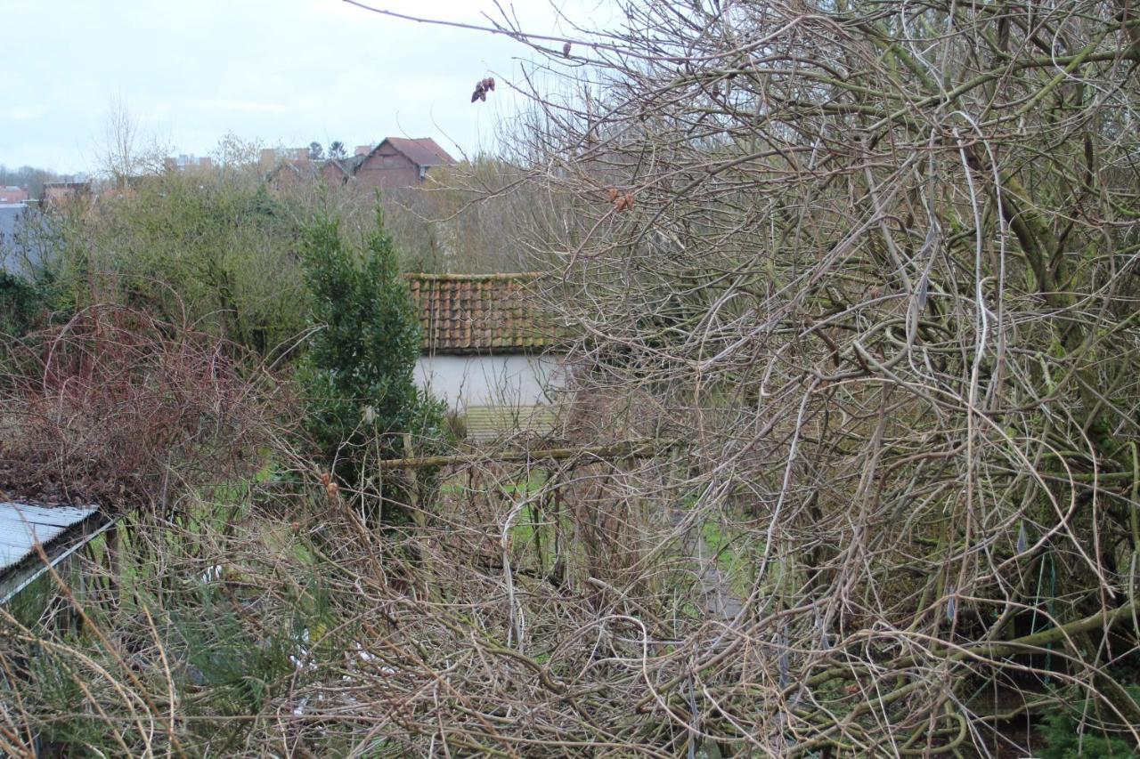 Maison D'Artiste Acces Jardin Maubeuge Exterior foto